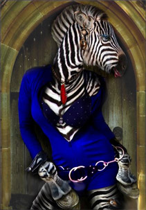 Zebra Funny Picture